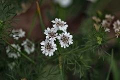 img_4357