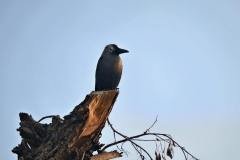 img_4362