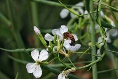 img_4410