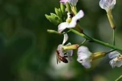 img_4430