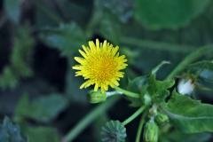 img_4486